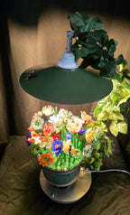 Lampada / Little eden